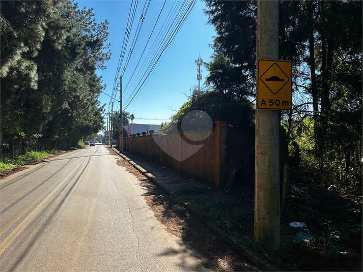 Foto REO1105410