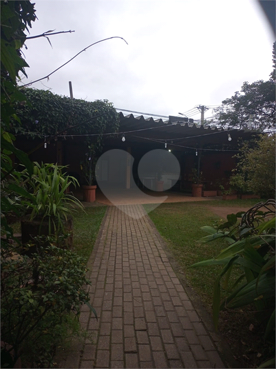 Foto REO1105419