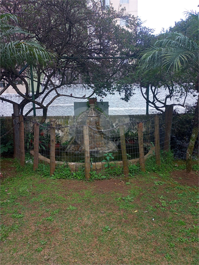 Foto REO1105419