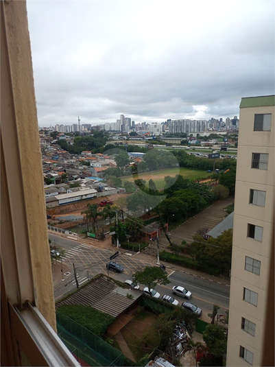 Foto REO1105419