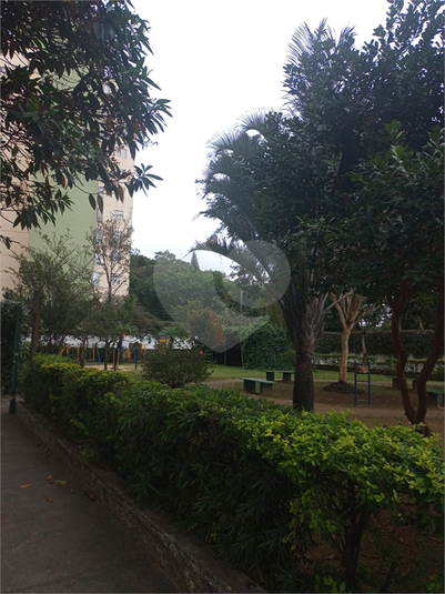 Foto REO1105419