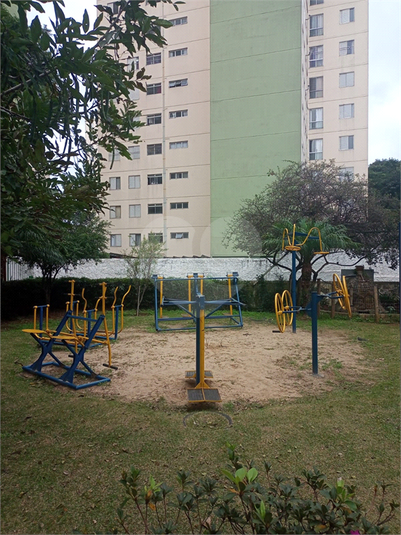 Foto REO1105419