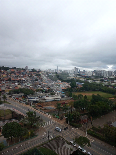 Foto REO1105419