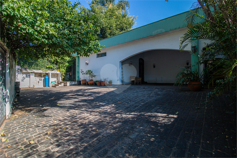 Foto REO1105445
