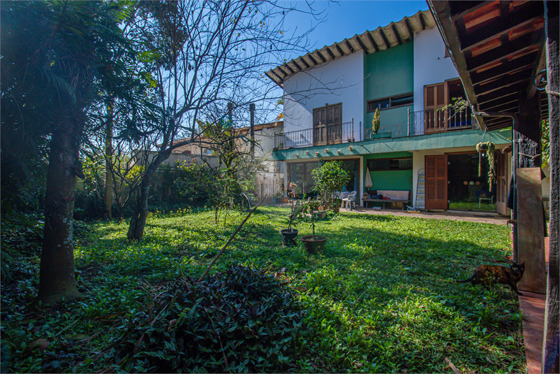 Foto REO1105445