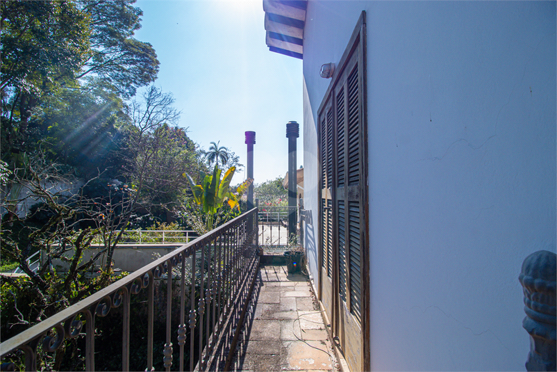 Foto REO1105445