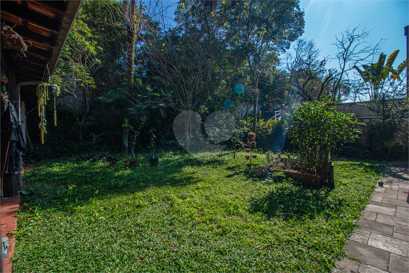 Foto REO1105445