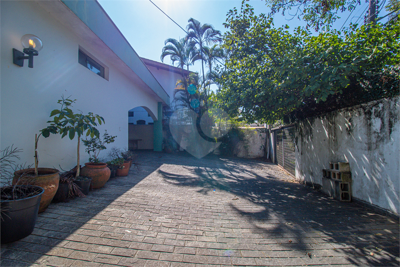 Foto REO1105445