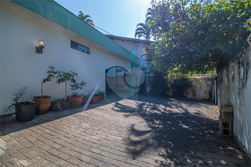 Foto REO1105445