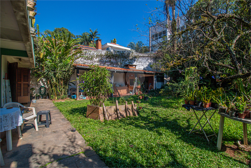 Foto REO1105445