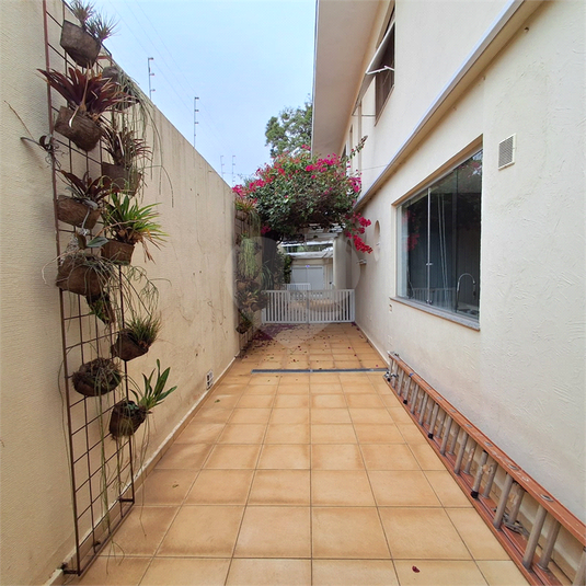 Foto REO1105448