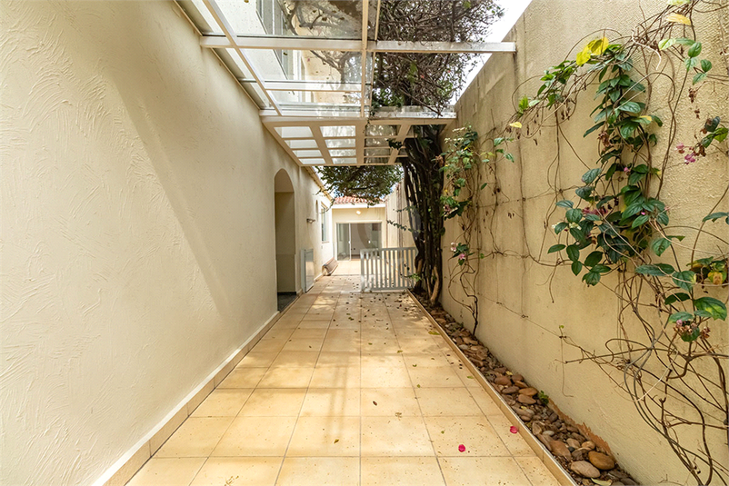 Foto REO1105448