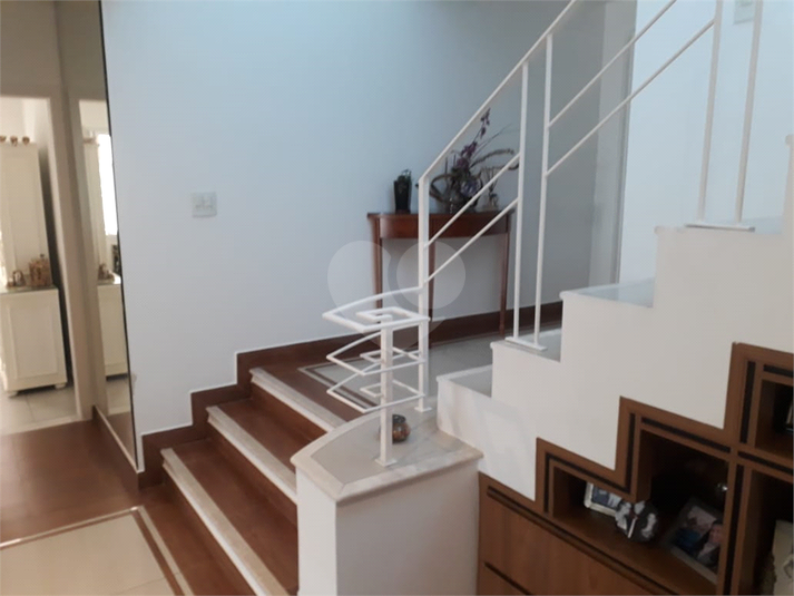 Foto REO1105449