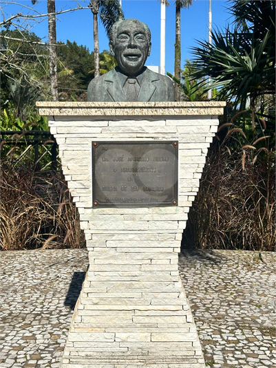 Foto REO1105452
