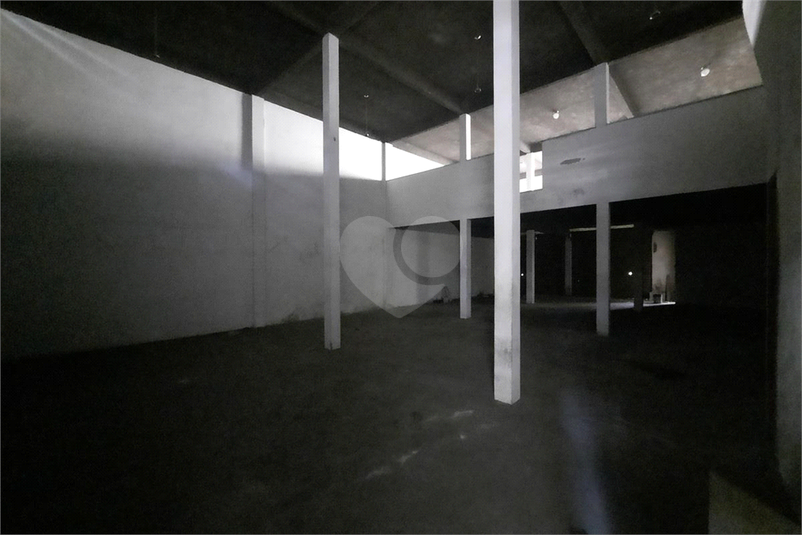 Foto REO1105453