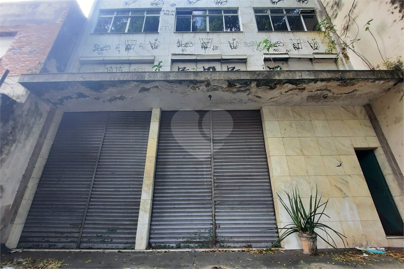 Foto REO1105453