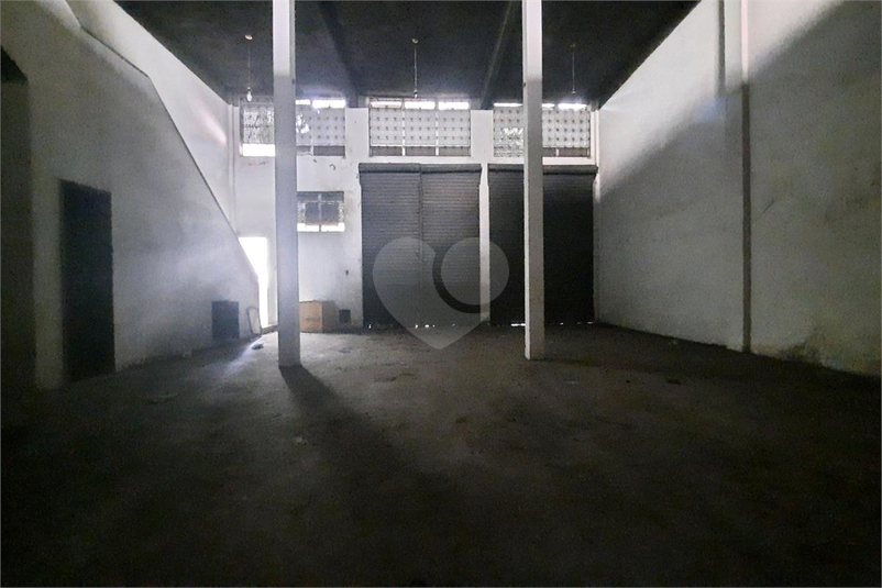 Foto REO1105453