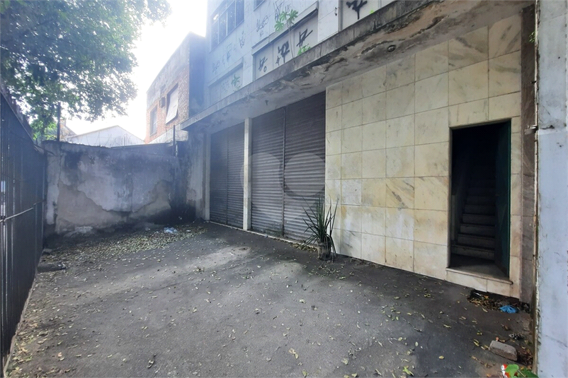 Foto REO1105453