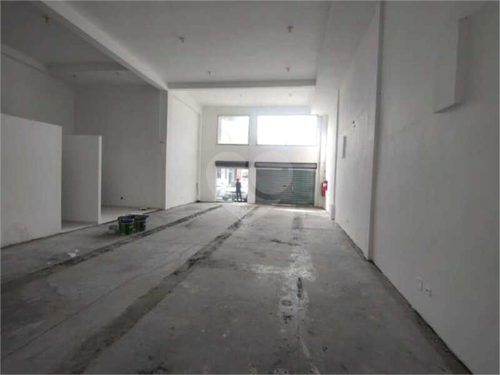 Foto REO1105468