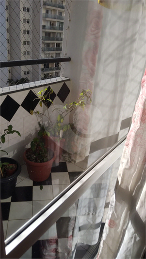 Foto REO1105471