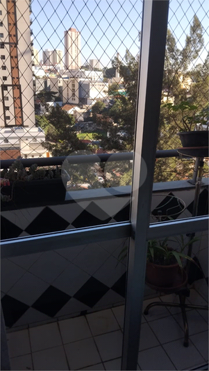 Foto REO1105471