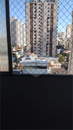 Foto REO1105471