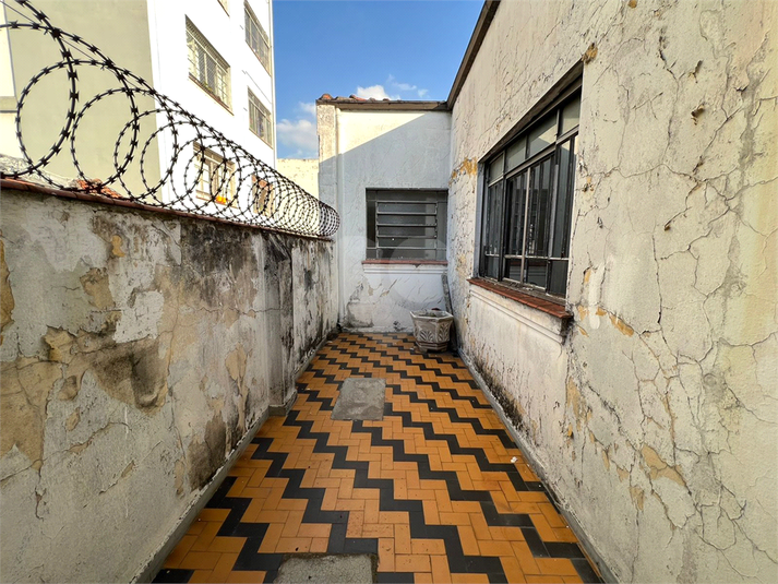 Foto REO1105474