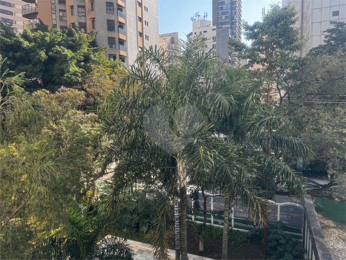 Foto REO1105475