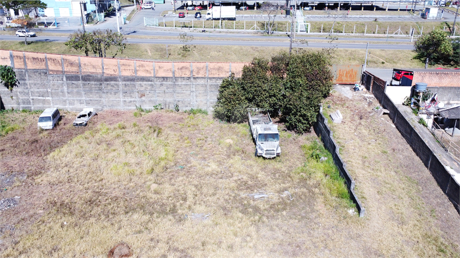 Foto REO1105476
