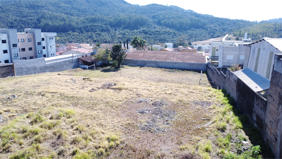 Foto REO1105476
