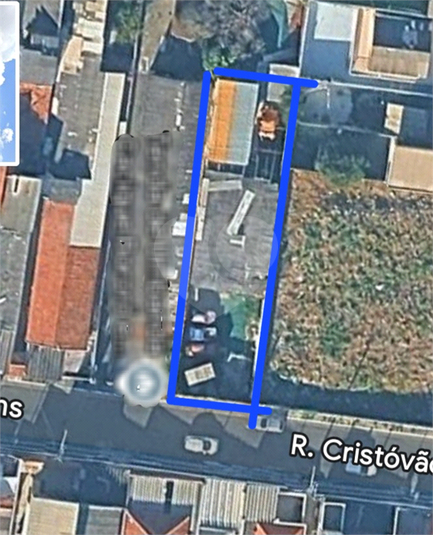 Foto REO1105480