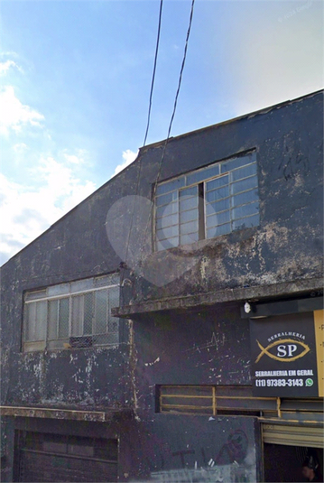 Foto REO1105488