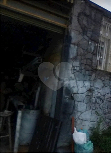 Foto REO1105488