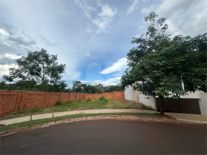 Foto REO1105494
