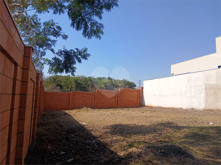 Foto REO1105494