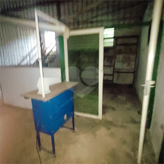 Foto REO1105529