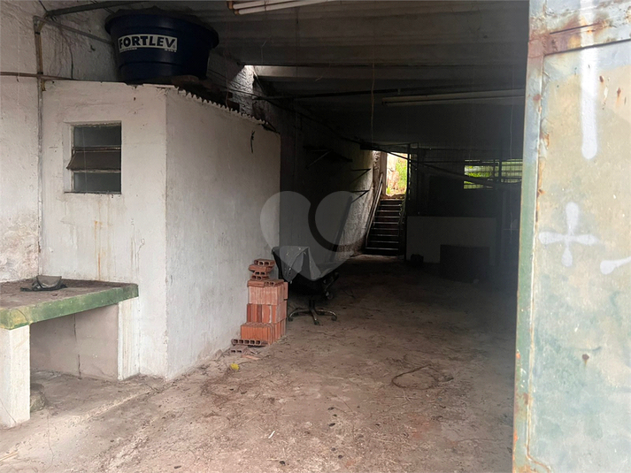 Foto REO1105529