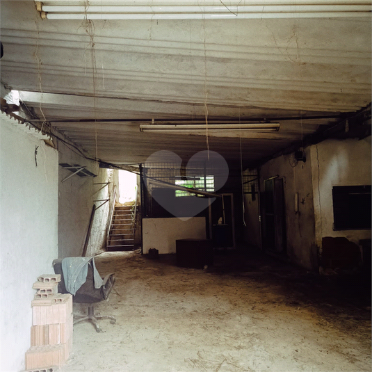 Foto REO1105529