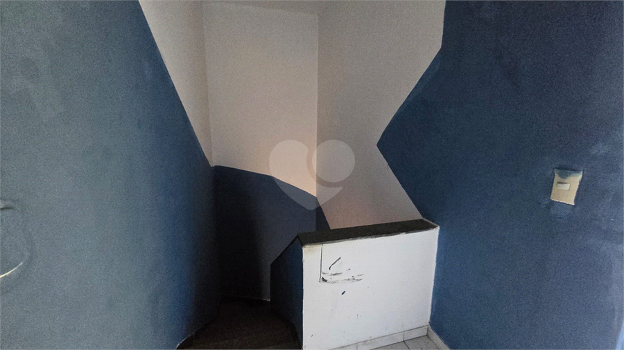 Foto REO1105536