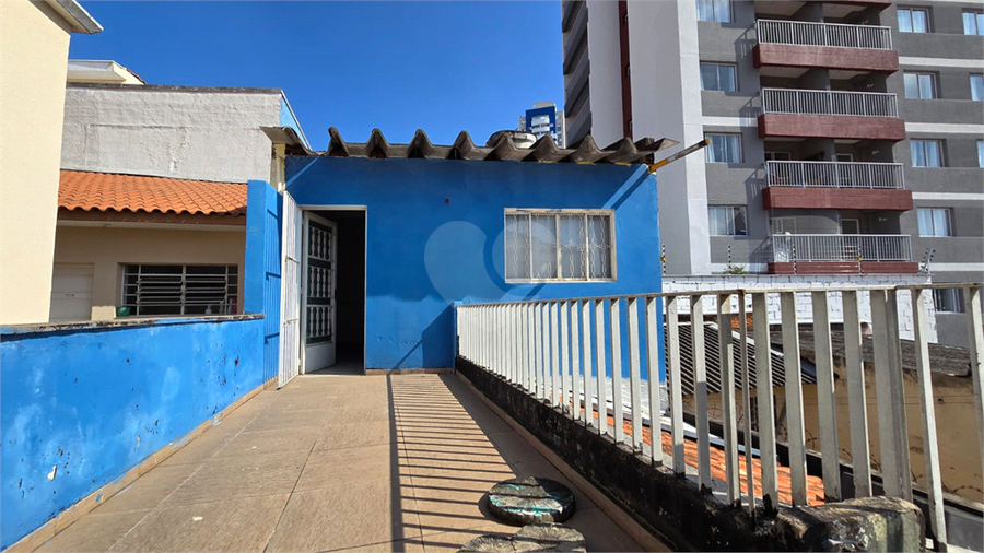 Foto REO1105536