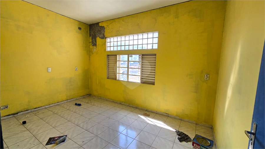 Foto REO1105536