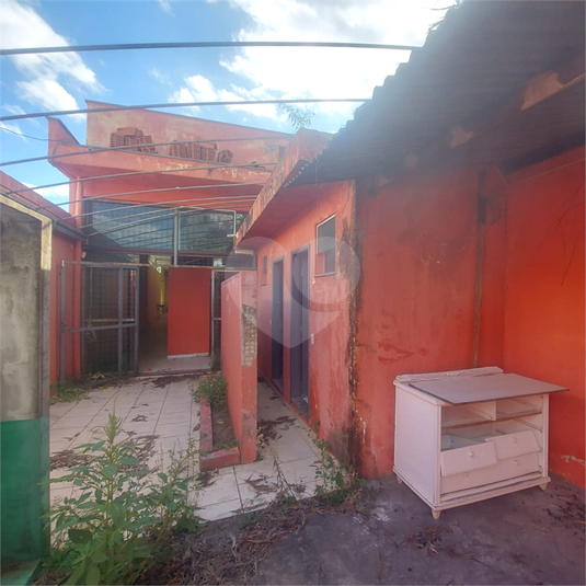 Foto REO1105544