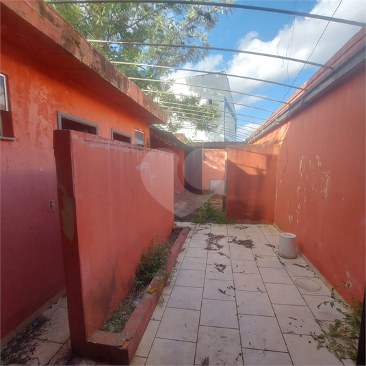 Foto REO1105544