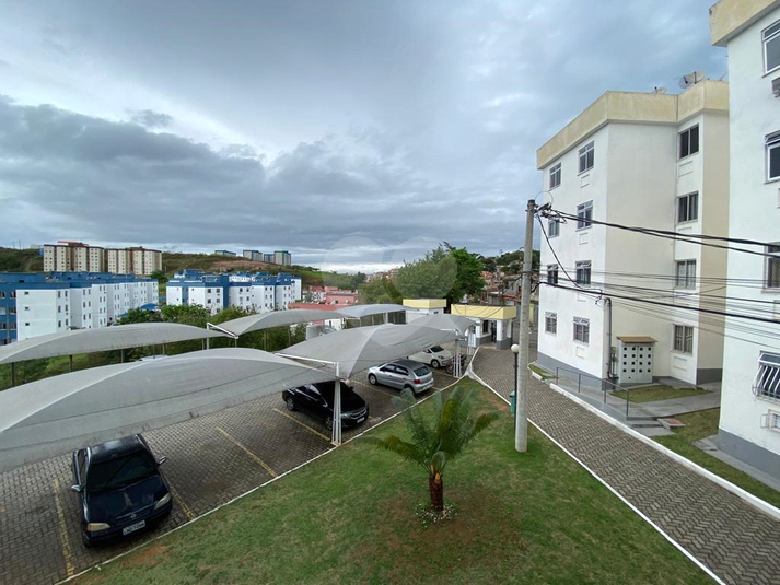 Foto REO1105580