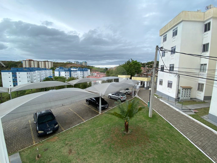 Foto REO1105580