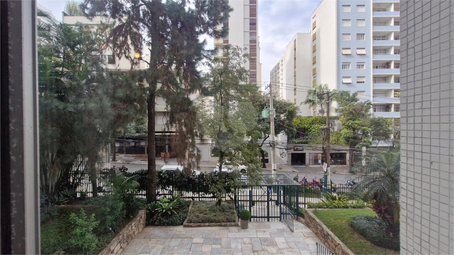 Foto REO1105588