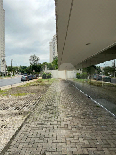 Foto REO1105603