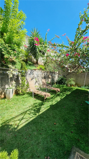 Foto REO1105619