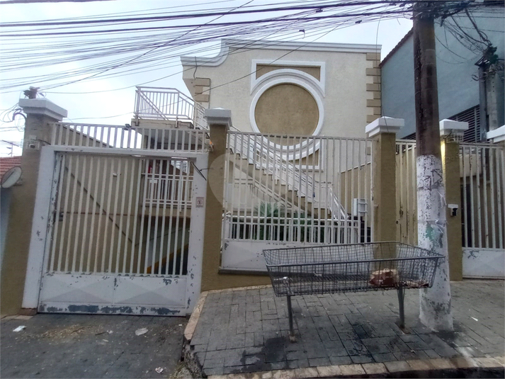 Foto REO1105627