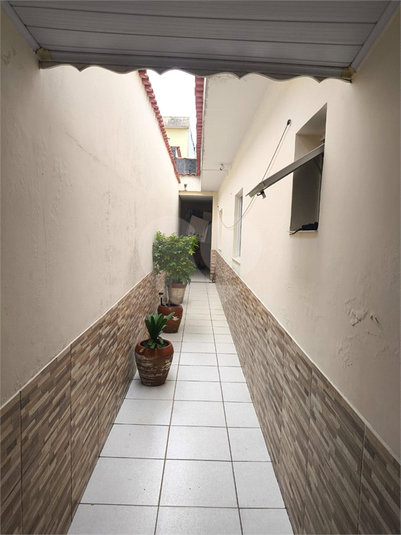 Foto REO1105639